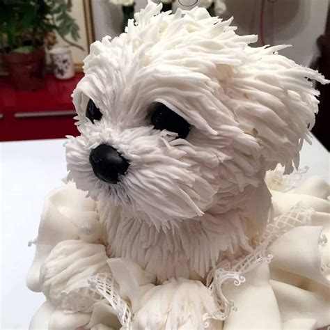 75 incredibly creative cakes that are almost too cool to eat | Dog ...