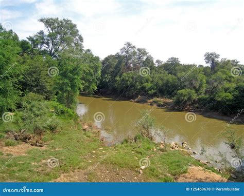 LIMPOPO RIVER in NORTHERN REGION of SOUTH AFRICA Stock Photo - Image of grass, dark: 125469678