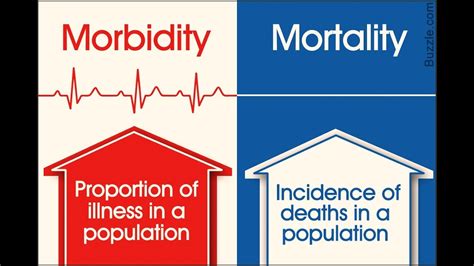 Mortality Morbidity and Life Expectancy - YouTube