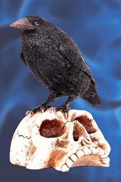 Raven Skull Statue - ShopperBoard