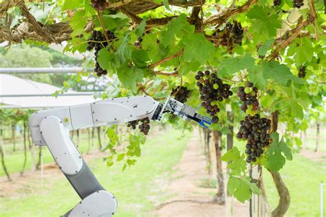 Harvesting Robotics Market to Reach $5.5bn From Early Adopters Alone ...