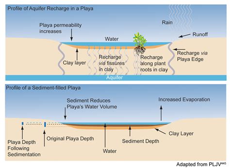 How Playa Lakes Are Formed