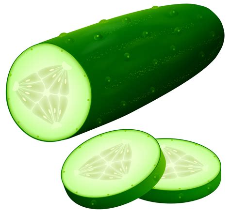 Image result for cucumber clip art | Cucumber, Vegetables, Vegetable pictures