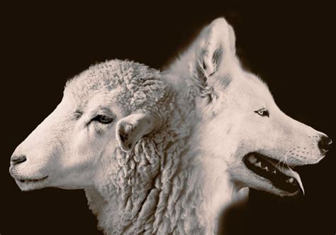 Sheep Among Wolves | Sheep among wolves, Animals, Digital artwork