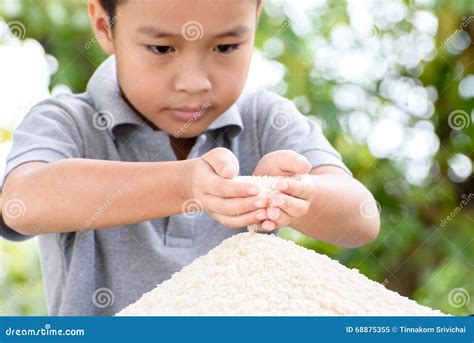 Jasmine rice in kid hand stock image. Image of child - 68875355