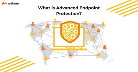 What is Advanced Endpoint Protection? - Guide by Wallarm