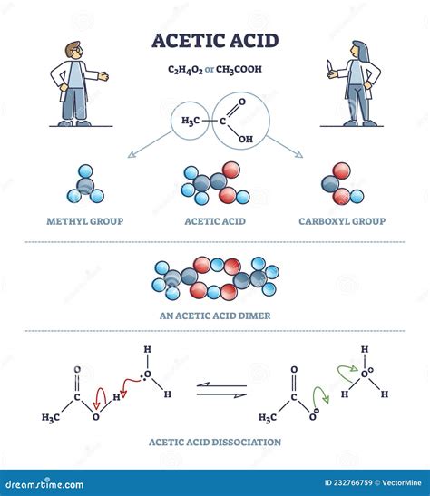 Acetic Acid Formula or Vinegar Substance Chemical Description Outline Diagram Stock Vector ...