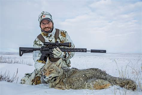 The Best Seven Rounds For Coyotes - Petersen's Hunting