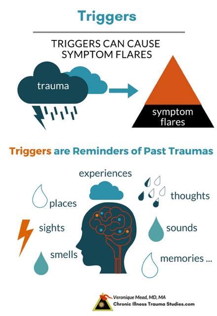 Essential Guide to Chronic Illness, Trauma and The Nervous System: Keys to Quelling the Volcano ...