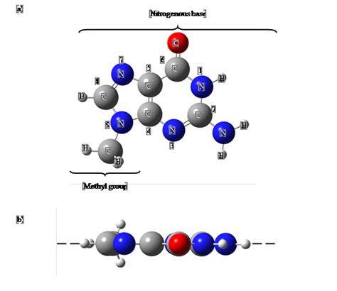 Figure 2: Guanine nucleobase structure. a) in the nucleobase conformation, a methyl group is ...