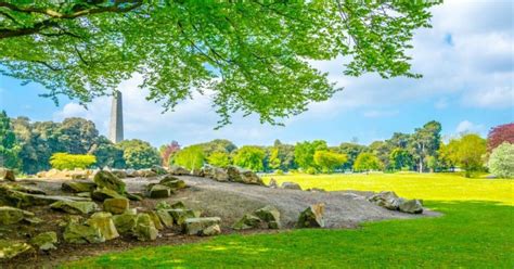 The Best Parks to Visit in Dublin - Let's Go Ireland