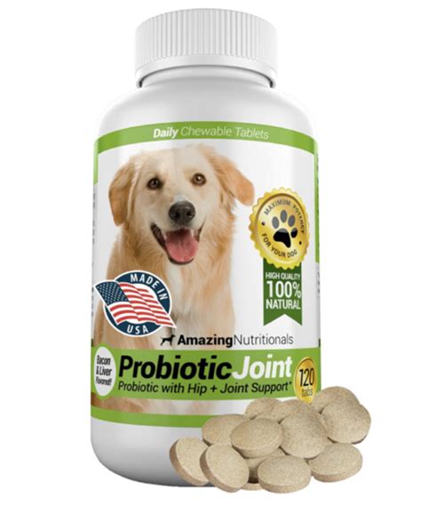 13 Best Probiotics For Dogs & Puppies (+1 to Avoid)