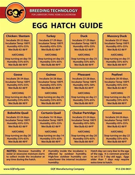 Printable Egg Hatching Chart