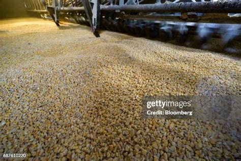 Inside Grain Silo Photos and Premium High Res Pictures - Getty Images