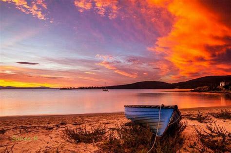 67 best Beautiful Tassie images on Pinterest | Tasmania, Places to travel and Australia