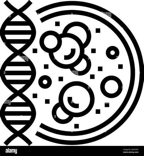 molecular biology cryptogenetics line icon vector illustration Stock Vector Image & Art - Alamy