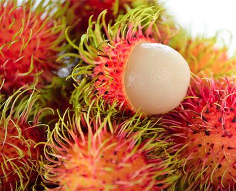 10 Health Benefits Of Rambutan - Pharmakon Dergi