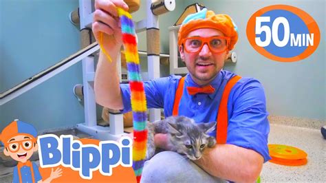 Blippi Learns About Animals For Kids 1 Hour Of Blippi Educational – Otosection