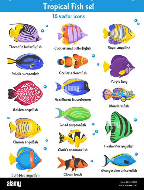 Exotic tropical fish icons set with fish species flat isolated vector ...