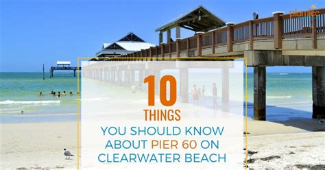 10 Things You Should Know About Pier 60 on Clearwater Beach