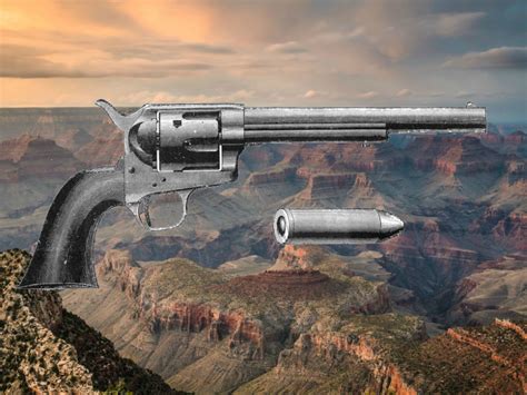 Revolver Gun