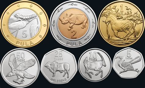 World Coin News: Botswana 2013 - New coin family