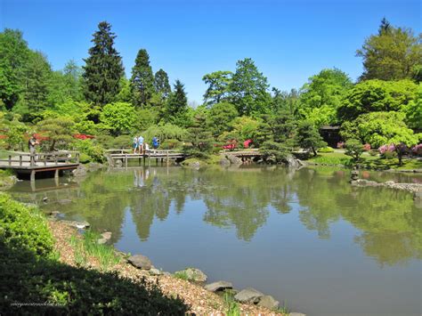 Autumn is a great time to visit the Washington Park Arboretum Seattle Japanese Garden - EVERYONE ...