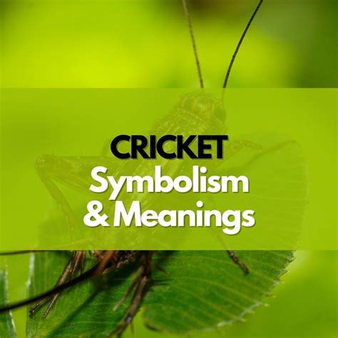 Cricket: Symbolism, Meanings, and History - Symbol Genie