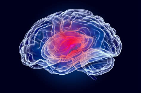 Everything You Need to Know About Traumatic Brain Injury Accidents