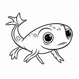 Kaulquappe Girino Renacuajo Kleurplaat Malvorlage Dibujos Girini Ciclos  sketch template