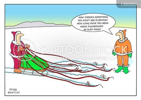 Dog Sled Cartoons and Comics - funny pictures from CartoonStock