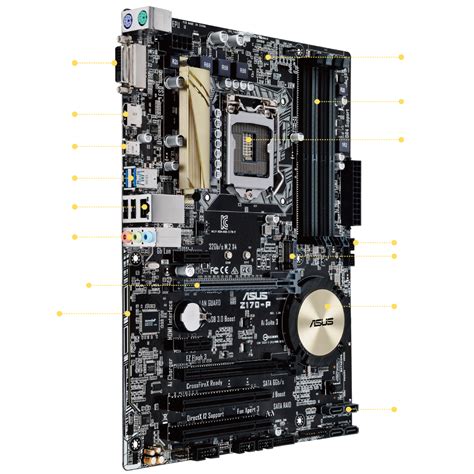 Z170-P | Motherboards | ASUS USA