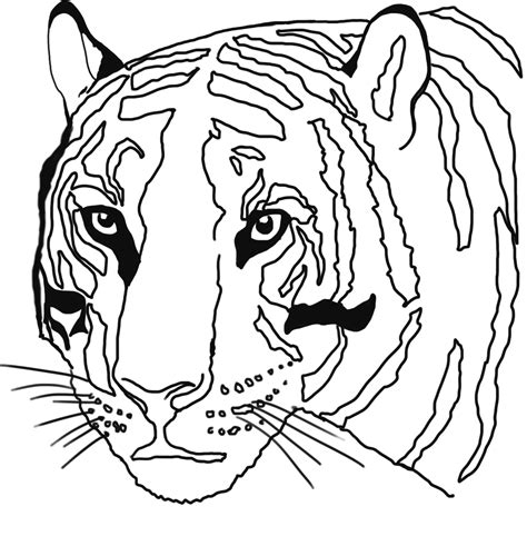 Tiger Head Coloring Page