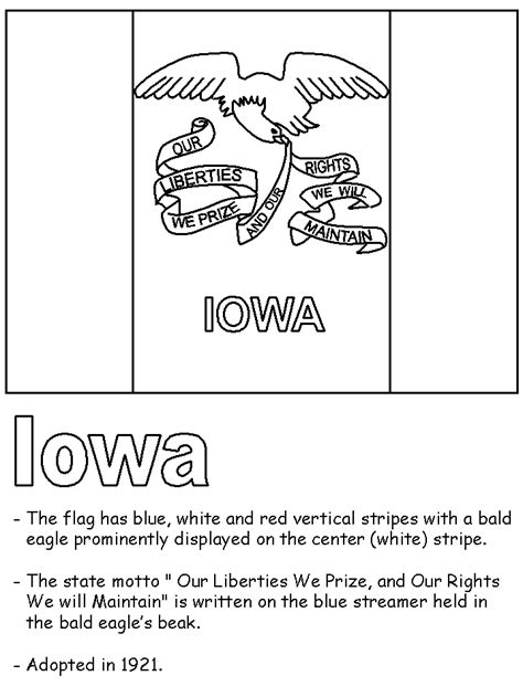 Iowa State Flag