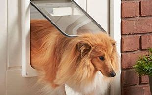 Pet Flap Installation UK - Cat Flap, Dog Flap