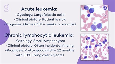 The Difference Between Acute and Chronic Leukemia