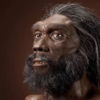 Homo heidelbergensis | The Smithsonian Institution's Human Origins Program