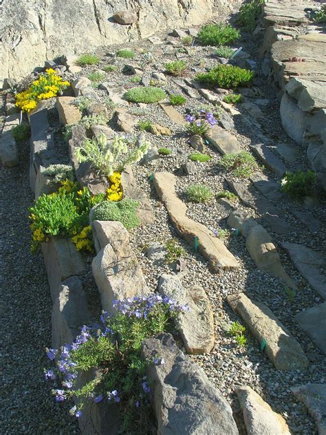 Crevice Garden | North American Rock Garden Society