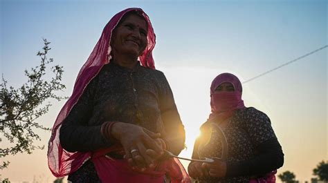 India’s original eco-warriors: Meet the Bishnoi community who won’t cut down living trees | Euronews