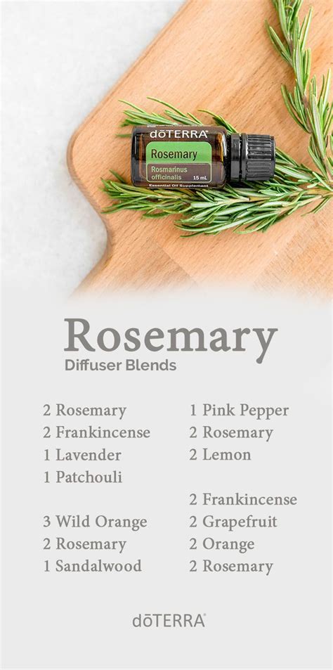 Rosemary Essential Oil Diffuser Blends | Essential oil diffuser blends, Essential oil diffuser ...