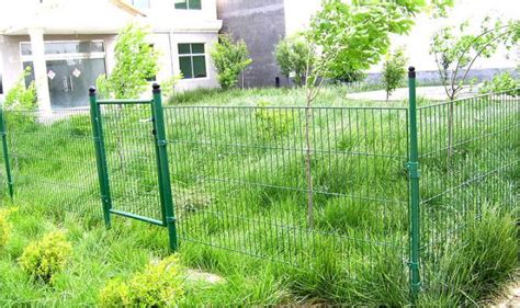 Chicken Wire Fence Gate Green : | Chicken wire fence, Fence gate, Wire fence