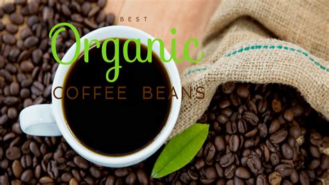 Top 10 Best Organic Coffee Beans | Organic Coffee Benefits