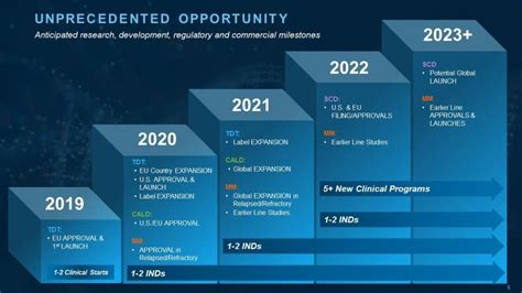 Where Will bluebird bio Be in 5 Years?