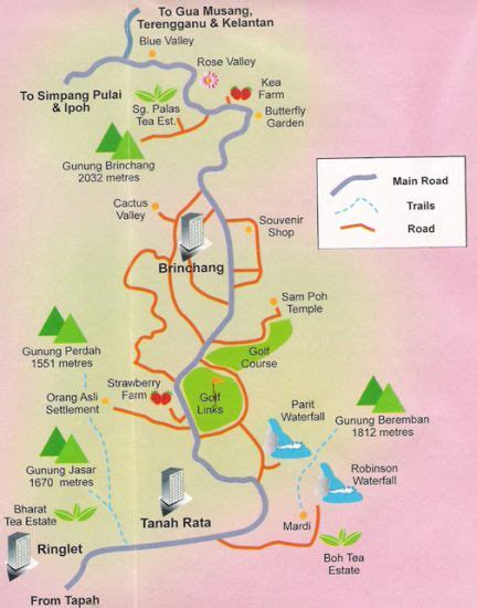 Photographs and map of tea plantations in the Cameron Highlands