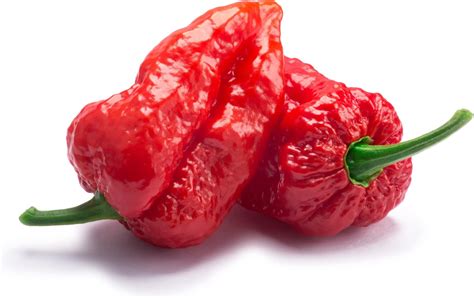 Ghost Pepper Seeds - 30+ "Bhut Jolokia" Pepper Seeds for Planting - Walmart.com