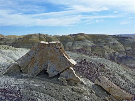 Petrified stump and yellow badlands: the Fossil Forest, New Mexico