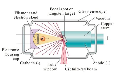 X-ray Production (X-ray Tube)