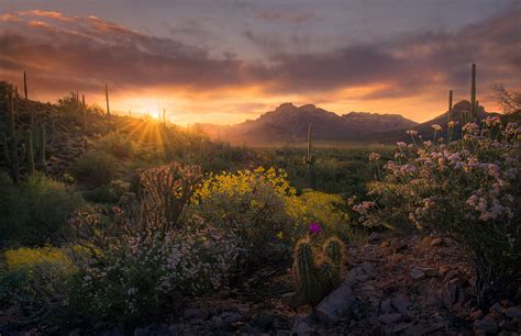 Desert Harmony | Superstition Mountains, Arizona | Marc Adamus Photography