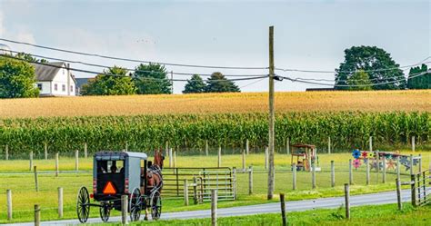 10 Best Amish Towns To Visit During Holidays | Amish town, Cool places to visit, Amish village