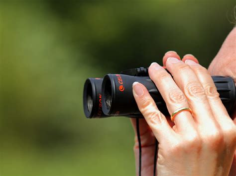 Best Binoculars for Birding: Buying Guide for 2022 - Birdwatching Buzz